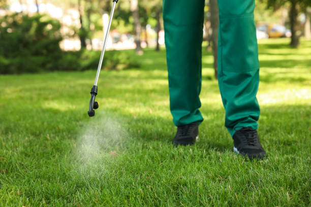 Best Exterminator Services  in Jellico, TN
