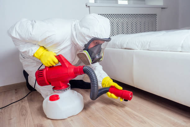 Flea Control Services in Jellico, TN