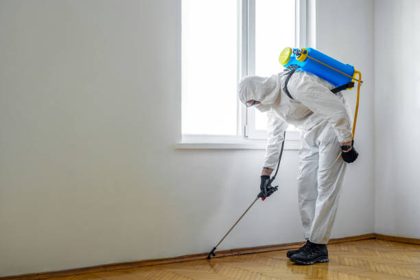 Trusted Jellico, TN Pest Control Experts