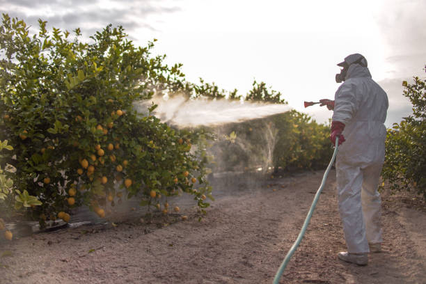Best Pest Control Treatment  in Jellico, TN